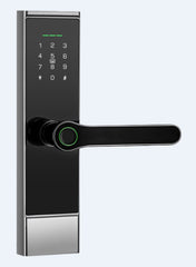 Password Card Chinese And English WIFI Graffiti Bluetooth TTLOC Fingerprint Lock