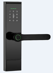Password Card Chinese And English WIFI Graffiti Bluetooth TTLOC Fingerprint Lock